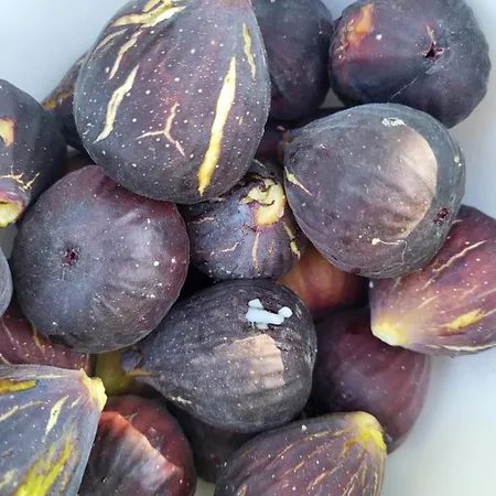 Casa Anno * Costigliole d'Asti